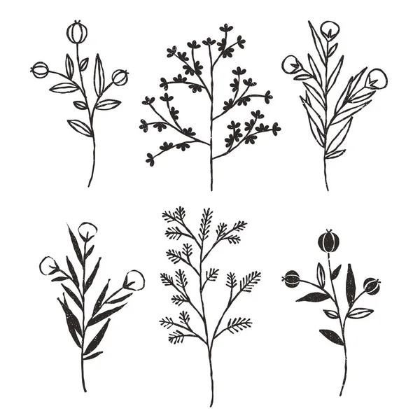 Plantas Natureza Elementos Decorativos Textura Fraca Ilustração Rústica Vetorial —  Vetores de Stock