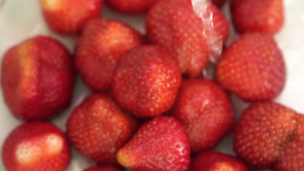 Fresas en el agua, vídeo completo de alta definición — Vídeos de Stock