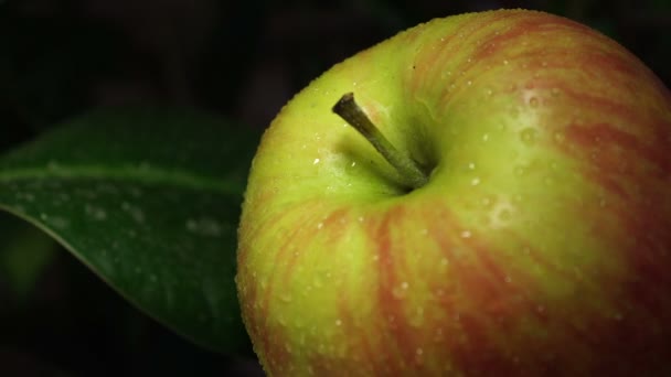 Красиве зелене яблуко з краплями води — стокове відео