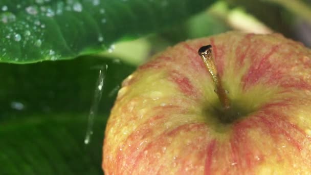 Όμορφο πράσινο μήλο με σταγόνες νερού — Αρχείο Βίντεο
