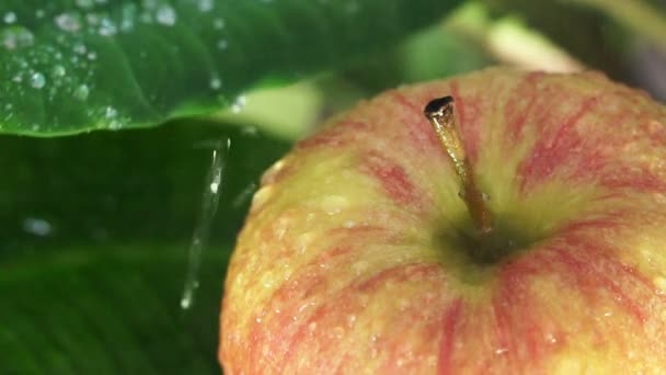 Schöner grüner Apfel mit Wassertropfen — Stockvideo