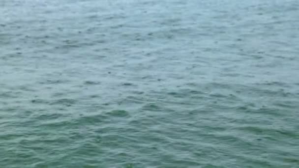 Падіння дощу на морі — стокове відео