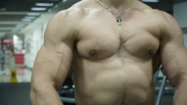 Muscular Sportsman Posing Gym — Stock Video