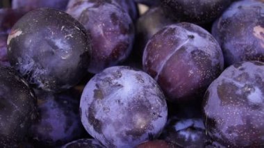 Arduvaz levha üzerinde dönen bazı erik