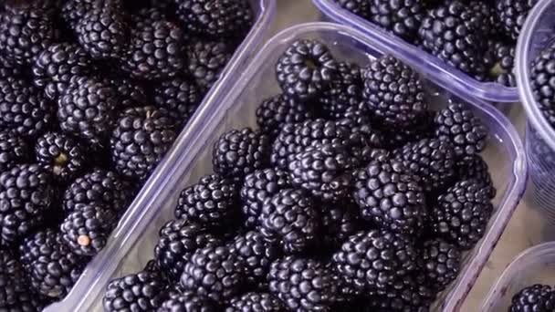 ブラックベリーとブルーベリーの新鮮な果実 — ストック動画