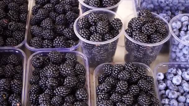 Fresh Berries Blackberries Blueberries — Stock Video