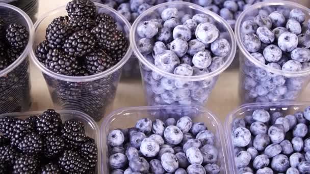 黑莓莓果 — 图库视频影像