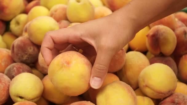 Menina Escolhe Pêssegos — Vídeo de Stock