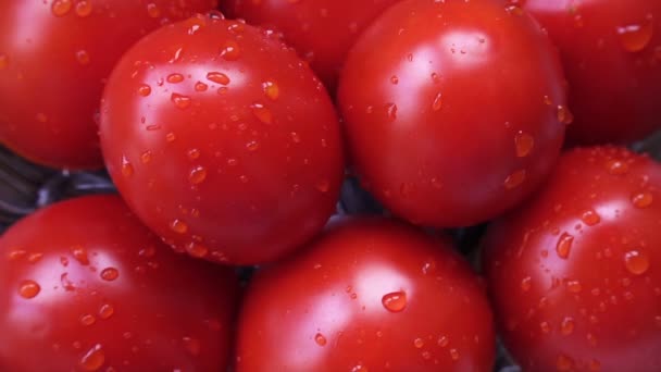 Woda Rozpryskująca Się Pomidory Zwolnionym Tempie — Wideo stockowe