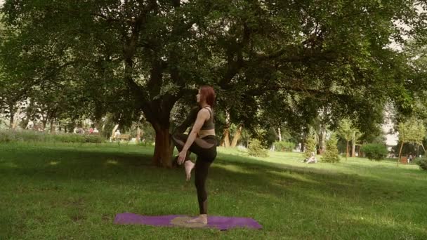 Ung flicka gör yoga i parken — Stockvideo