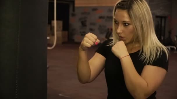 Mulher bonita perfurando um saco de boxe — Vídeo de Stock