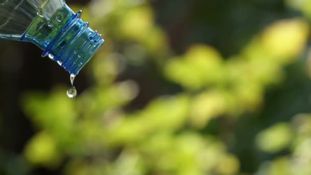 Neerzetten van een druppel water uit een lege plastic fles. — Stockvideo