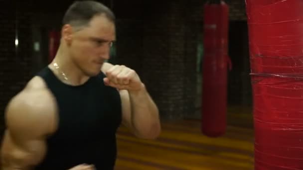 Боксер выполняет серию ударов по боксерской груше. — стоковое видео