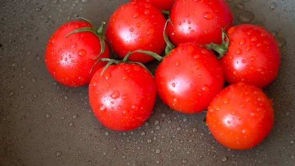 Červená rajčata s kapkami vody — Stock video