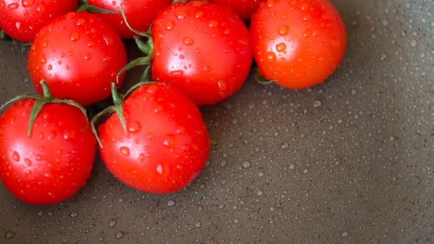 Tomates vermelhos com gotas de água — Vídeo de Stock