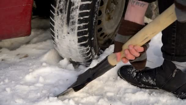 Un hombre rastrillos y limpia la nieve fuera del coche — Vídeo de stock
