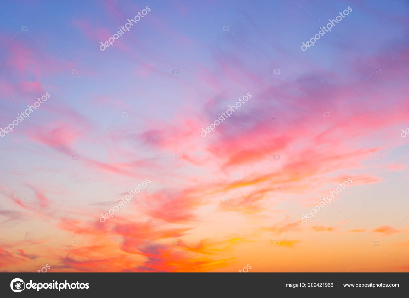 Pink purple sky during sunset over water background vertical Stock Photo by  carlo_vstek