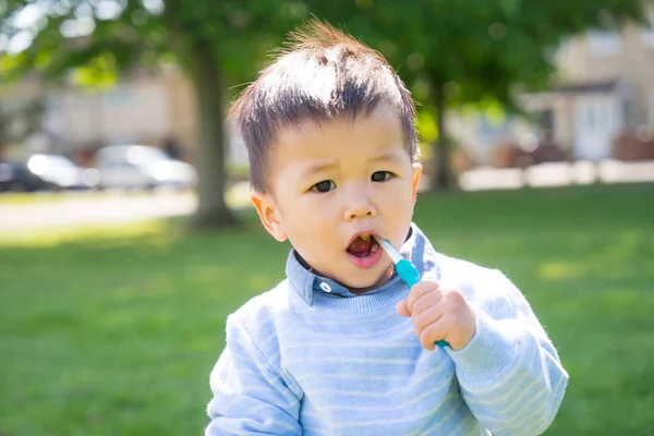 Asian Baby Uses Toothbrush Park Summer Time — Stock Photo, Image