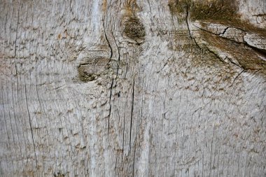 Eski tahta soyut arkaplan 