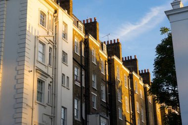 İngiliz tarzı bina, South Kensington, Londra