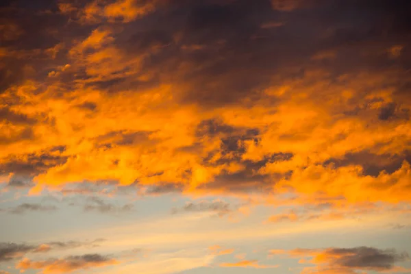 Coucher Soleil Ciel Arrière Plan Été — Photo