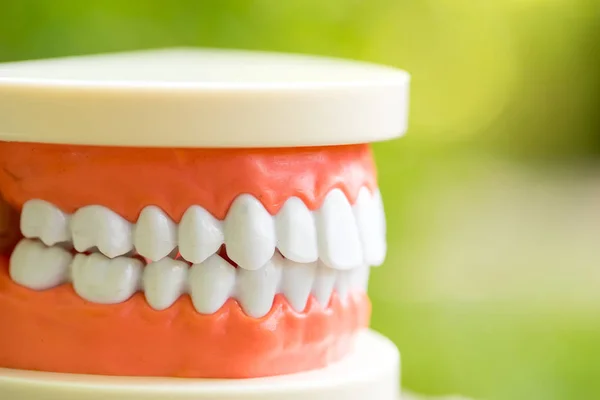 Conjunto Ferramentas Equipamentos Médicos Dentista Parque — Fotografia de Stock