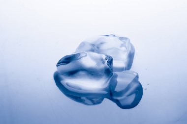 Stüdyoda buz küpü eriyor: Küresel ısınma kavramı