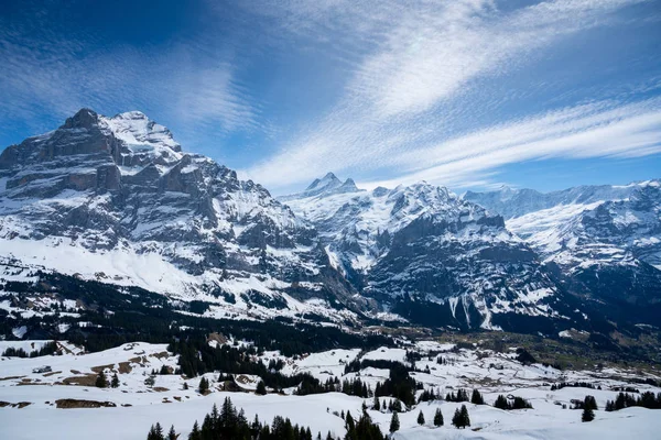 Titlis Berg Sommer Schweiz — Stockfoto