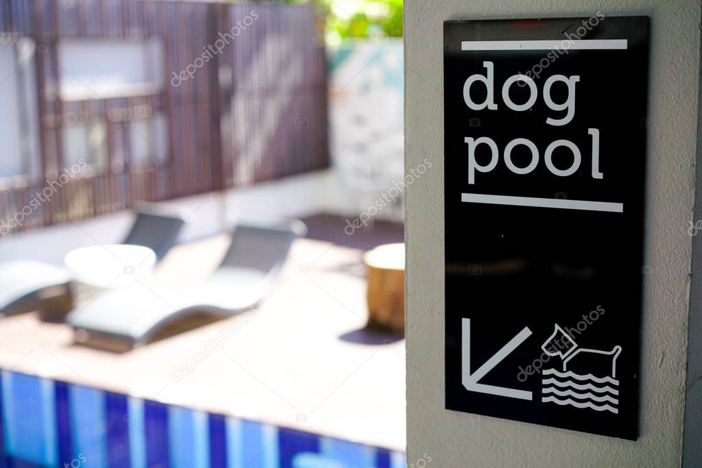 Dog pool sign close up