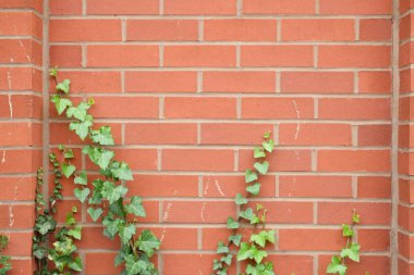 Tuğla deseni ve blok arkaplanı 