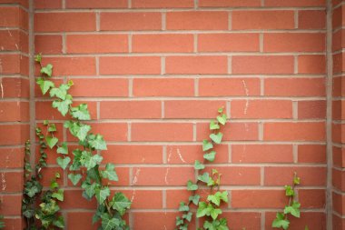 Tuğla deseni ve blok arkaplanı 