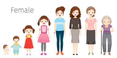 Kadın yaşam döngüsü. Nesiller ve insan vücudu büyüme aşamalarında. Farklı yaş, Bebek, çocuk, Genç, Yetişkin, yaşlı kişi, yaş, insanlar, geliştirme, yaşam biçimi