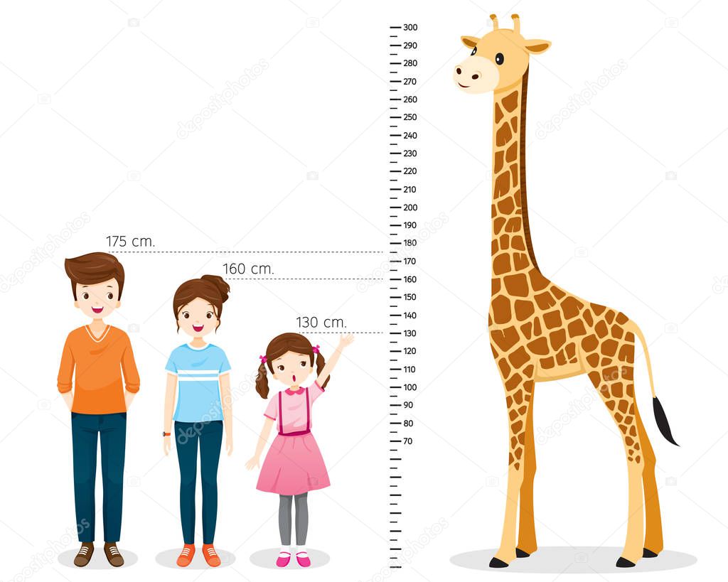 Man, Woman, Girl Measuring Height With Giraffe, Tall, Healthy, Care, People, Lifestyle