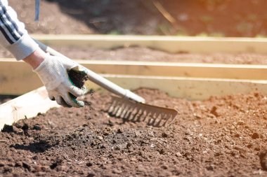 bahçıvan bir tırmık ile toprak gevşetir