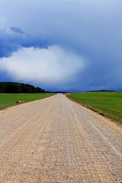 alan, kırsal, çakıl yol yeşil bir alanın ortasında toz ile kaplı, bir fırtına önce, dikey fotoğraf