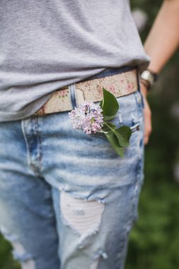 bir kot pantolon cebinde leylak dalı