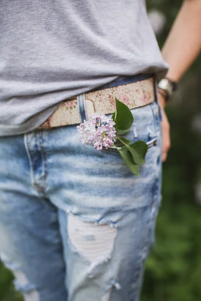 bir kot pantolon cebinde leylak dalı