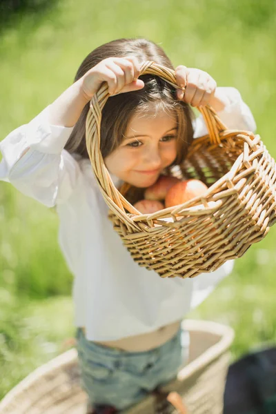 Kislány Egy Kosár Gyümölcs — Stock Fotó