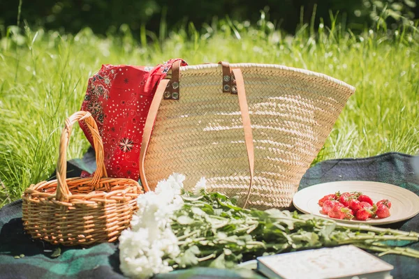 Summer Picnic Nature Berries Fruits — Stock Photo, Image