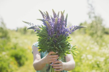 Kız lupines bir buket alanında duruyor