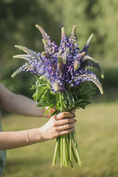 Frauenhände Halten Einen Strauß Lupinen — Stockfoto