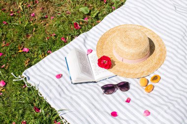 Natürmort, hasır şapka ve kitap hakkında peçe ve güneş gözlüğü