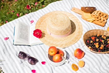 Natürmort, hasır şapka ve kitap hakkında peçe ve güneş gözlüğü