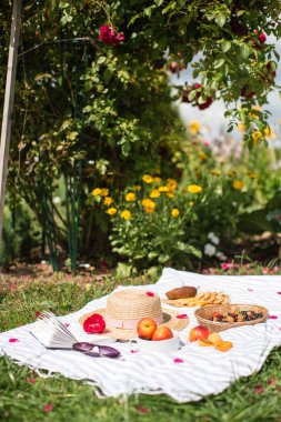 kitap ve meyve bahçesinde yaz tatili