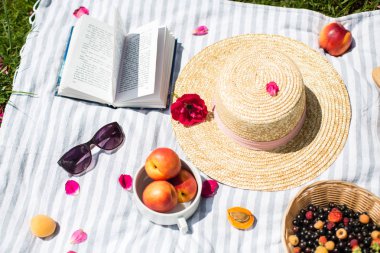 kitap ve meyve bahçesinde yaz tatili