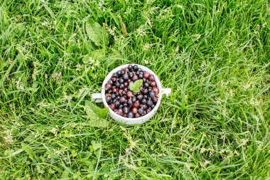 sepeti taze siyah frenk üzümü çilek ile