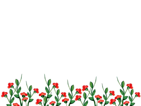 red flowers isolated on white background