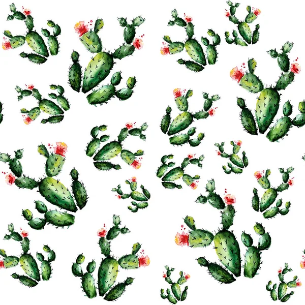 Akvarel Kaktus Vzor Dekorace — Stock fotografie