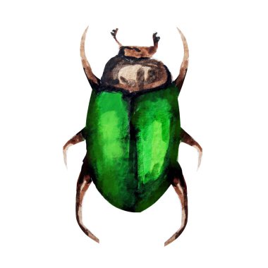 suluboya desenle beetle