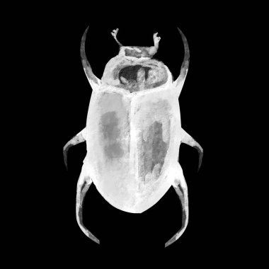 suluboya desenle beetle